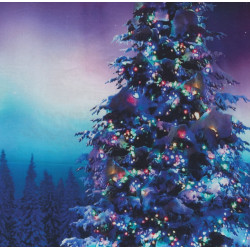 Aurora Borealis Polarlichter Panel Weihnachten Tannenbaum Winter Hoffmann Patchworkstoff